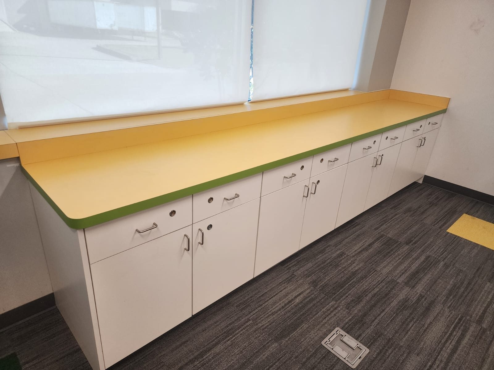 Institutional Public Counter Casework