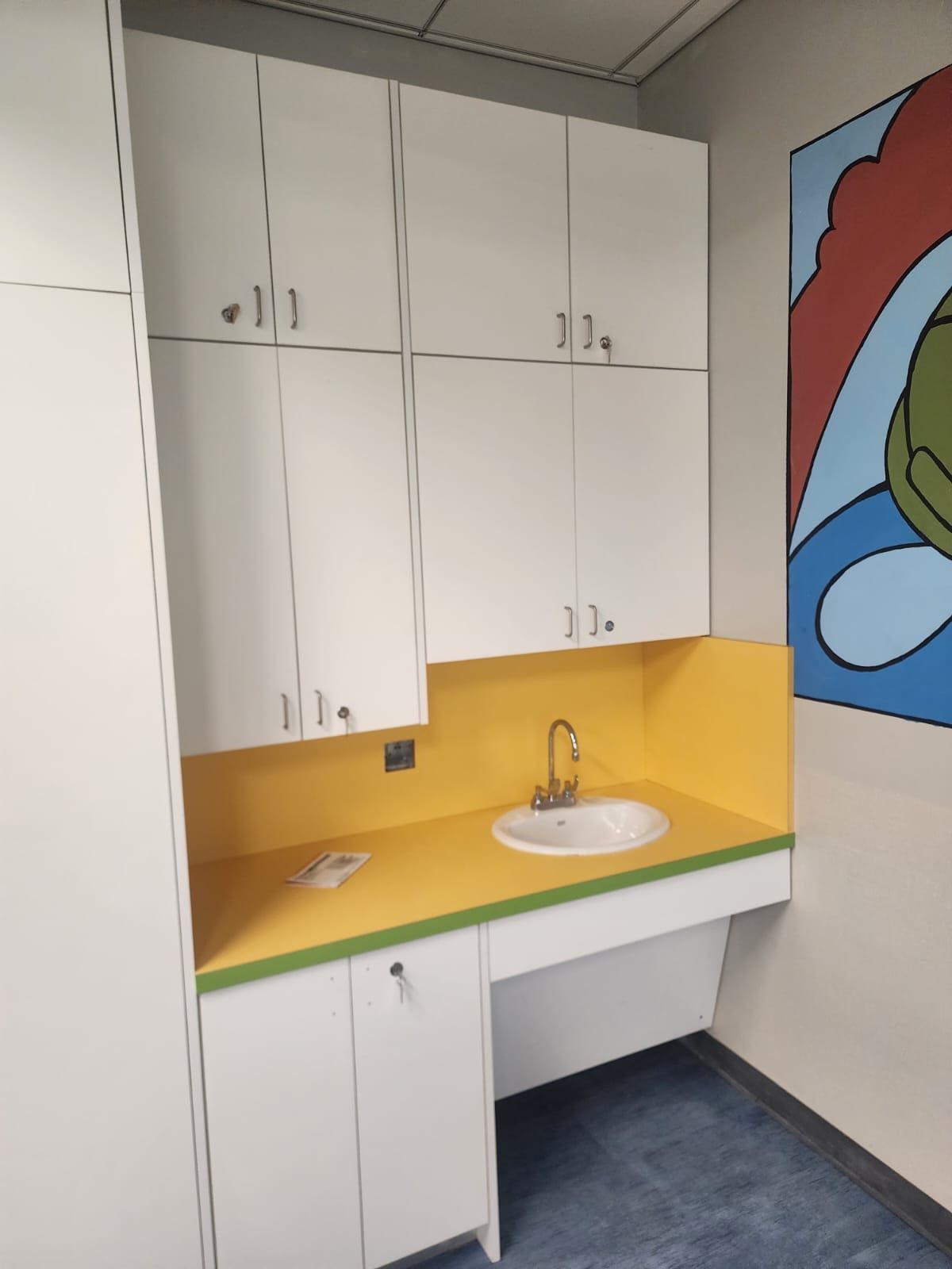 City of Houston Storage and Desk Casework