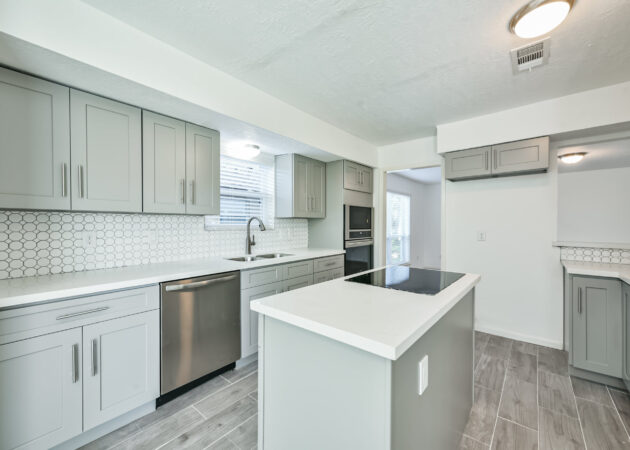 Light Gray Kitchen